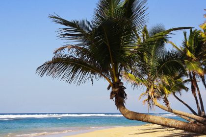 Quelle est la particularité d'un séjour à Punta Cana en famille ?