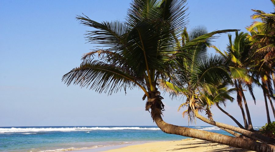 Quelle est la particularité d'un séjour à Punta Cana en famille ?