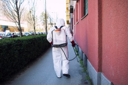Comment s'assurer de ne pas avoir de rats dans sa maison ?